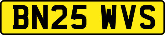 BN25WVS