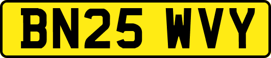 BN25WVY