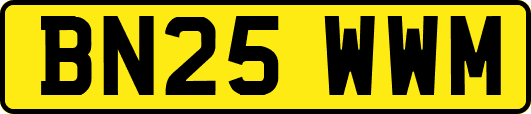 BN25WWM