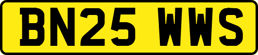 BN25WWS