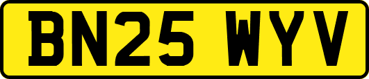 BN25WYV