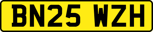BN25WZH