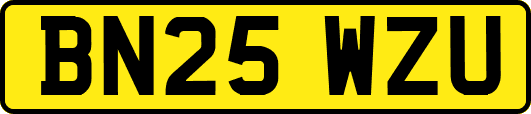 BN25WZU