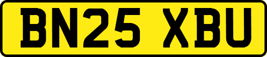 BN25XBU