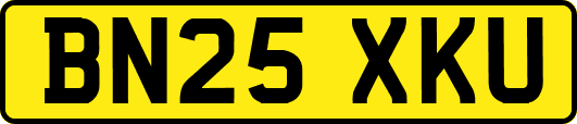 BN25XKU