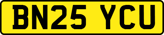 BN25YCU