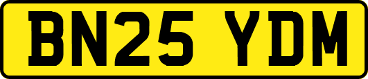 BN25YDM