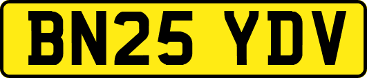 BN25YDV