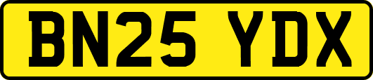 BN25YDX