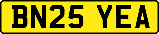 BN25YEA