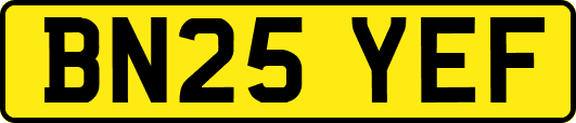 BN25YEF