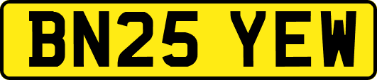 BN25YEW