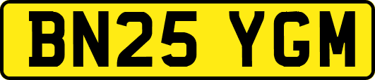 BN25YGM