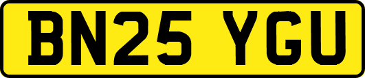 BN25YGU
