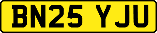 BN25YJU