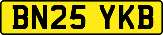BN25YKB
