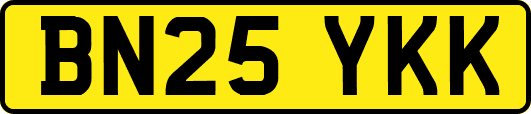 BN25YKK