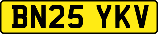 BN25YKV