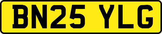 BN25YLG