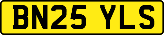 BN25YLS