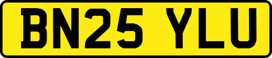 BN25YLU