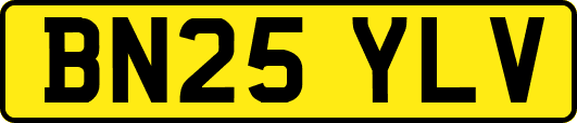 BN25YLV