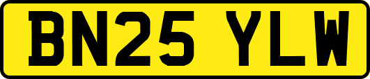 BN25YLW