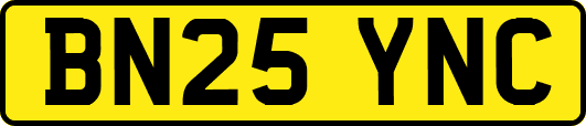 BN25YNC