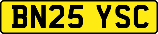 BN25YSC
