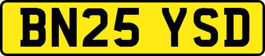 BN25YSD