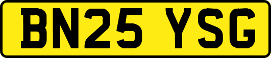 BN25YSG