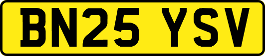 BN25YSV