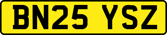 BN25YSZ