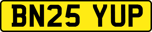 BN25YUP