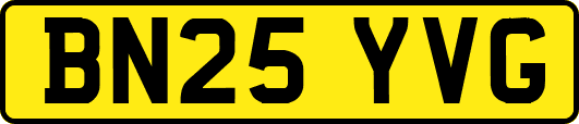 BN25YVG