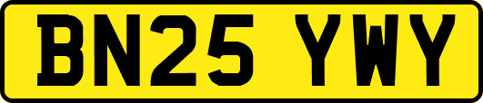 BN25YWY