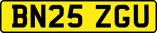 BN25ZGU