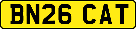 BN26CAT