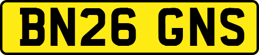 BN26GNS