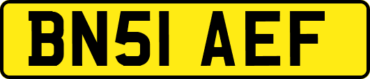 BN51AEF