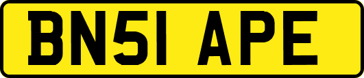 BN51APE