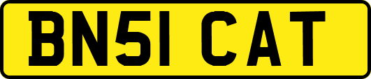 BN51CAT