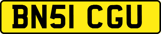 BN51CGU