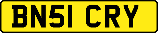 BN51CRY