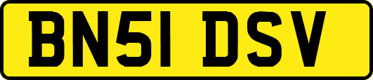BN51DSV