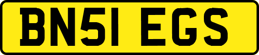BN51EGS