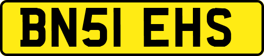 BN51EHS