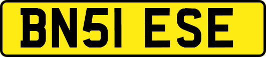 BN51ESE