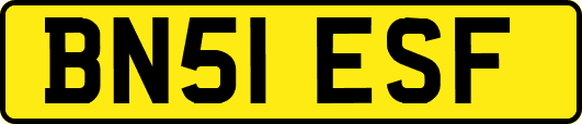 BN51ESF