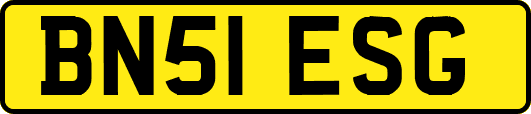 BN51ESG